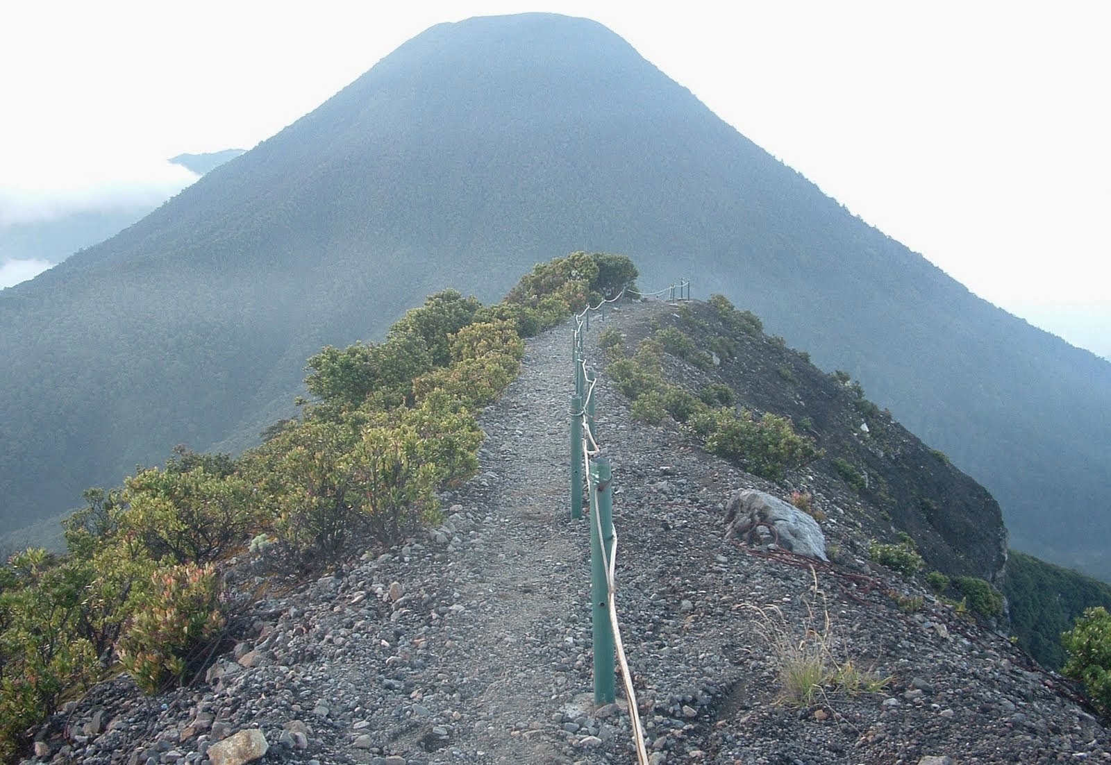 Hiking Gunung Gede 